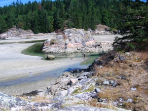 Spend your mornings on some of Cortes Island splendid beaches and the afternoon writing!