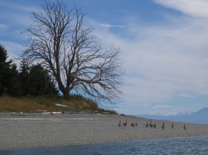 Cortes Island is famous for its beautiful beaches and relaxed atmosphere.