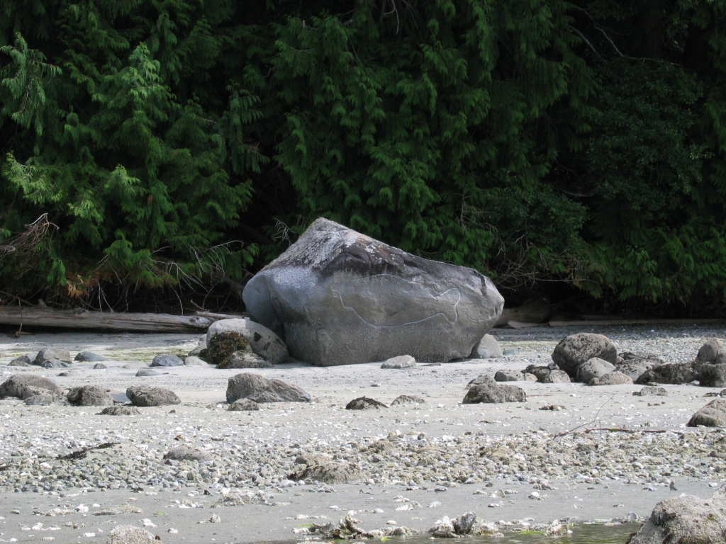 A petroglyph to the south of the government wharf at Manson's Landing on Cortes Island. This is one of the few associated with a family legend, an account of a young man who goes on a spirit quest to redeem himself and comes back as a skilled hunter. See 'Sliammon Life, Sliammon Lands' by Kennedy and Bouchard for the story of Tl'umnachm, p.50-51.