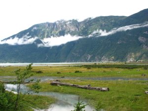 Bella Coola Valley